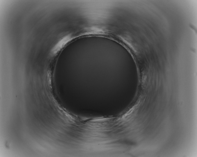 X0000099301455200805021221