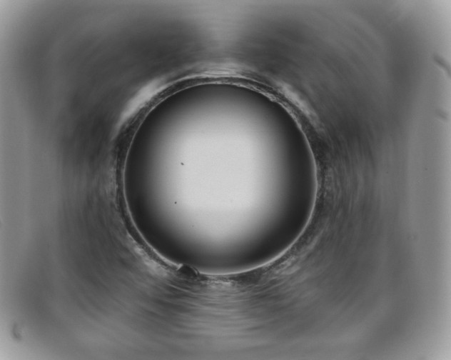 X0000099301456200805021221