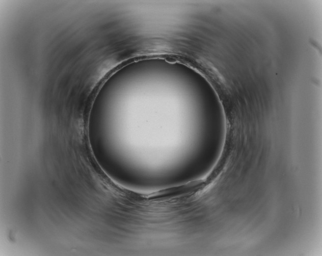 X0000099301457200805021221