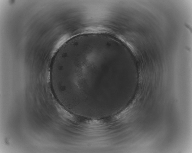 X0000099301459200805021221