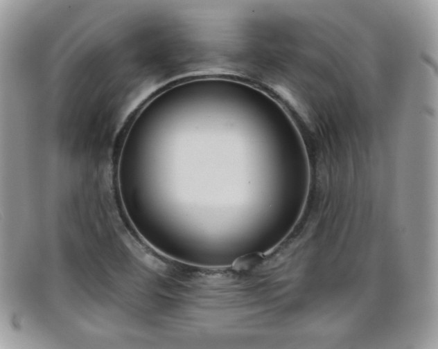 X0000099301460200805021221