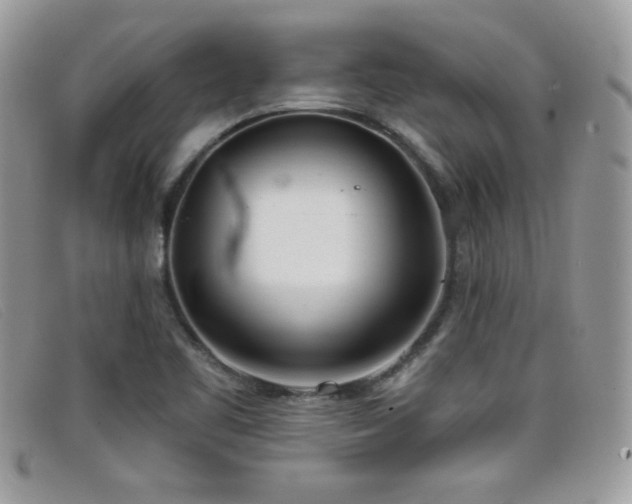 X0000099301461200805021221