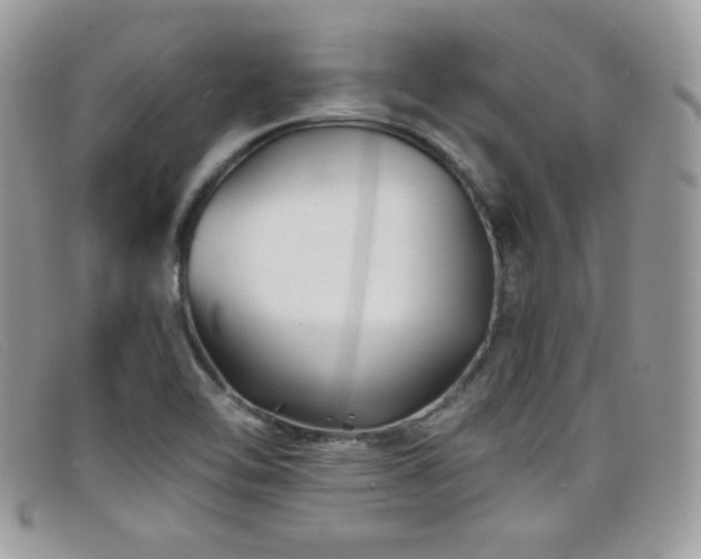 X0000099301462200805021221