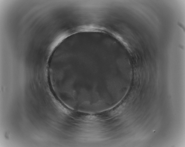 X0000099301463200805021221