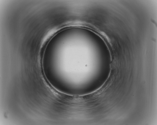 X0000099301464200805021221