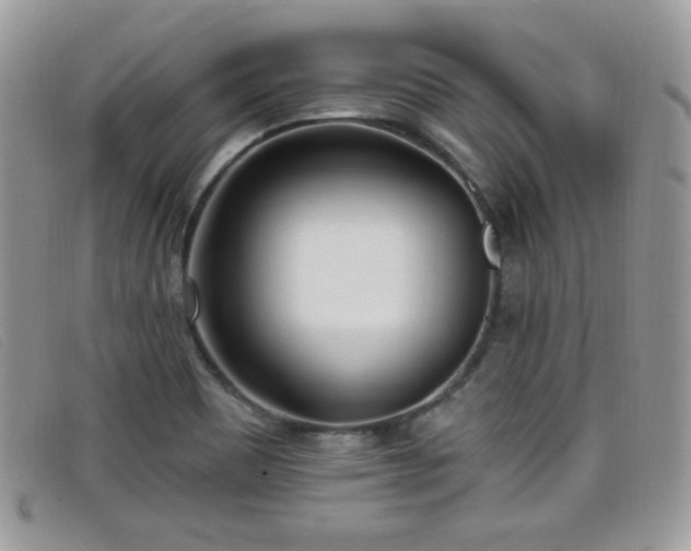X0000099301465200805021221