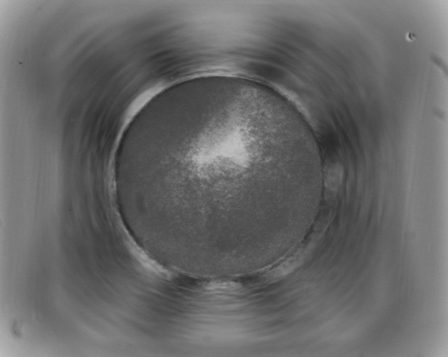 X0000099301466200805021221