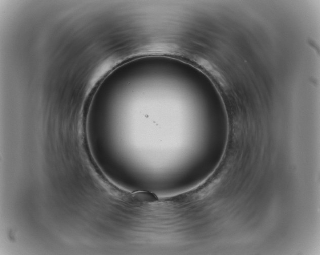 X0000099301469200805021221