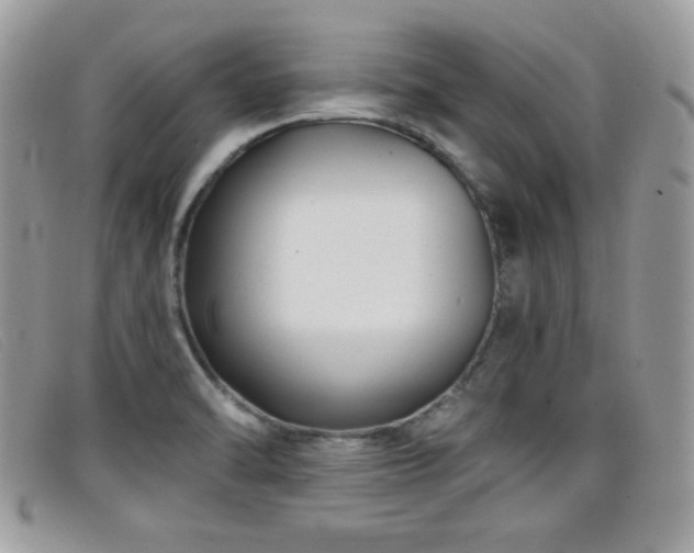 X0000099301470200805021221