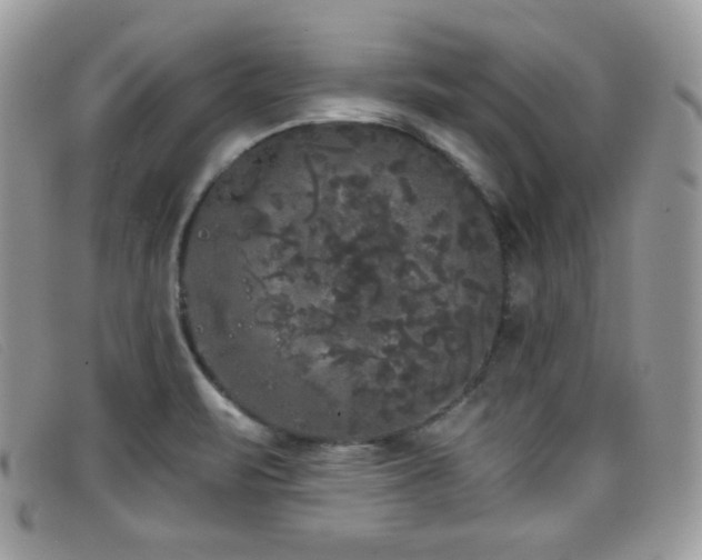 X0000099301471200805021221