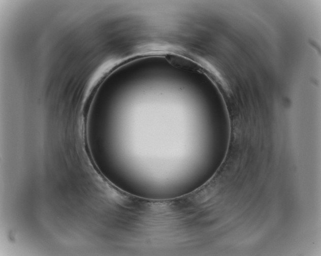 X0000099301472200805021221