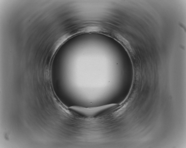 X0000099301473200805021221