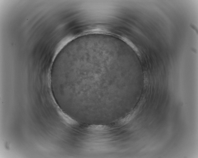 X0000099301474200805021221