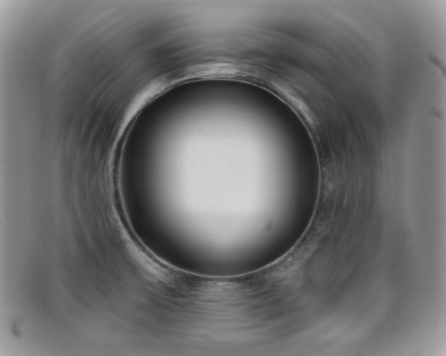 X0000099301475200805021221