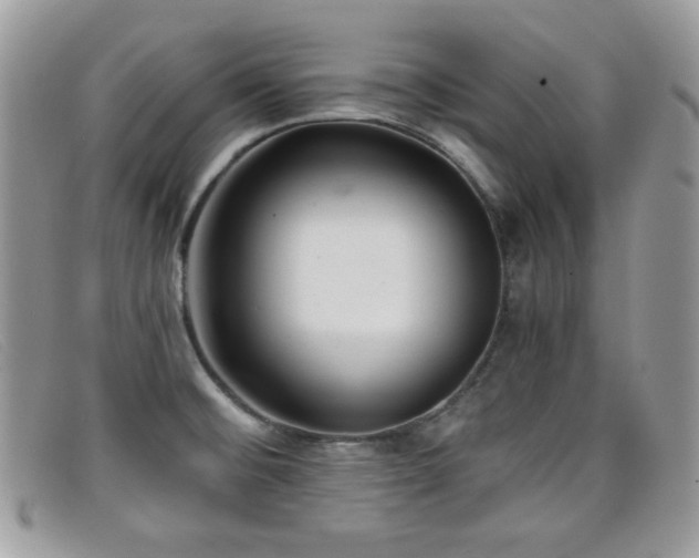 X0000099301476200805021221