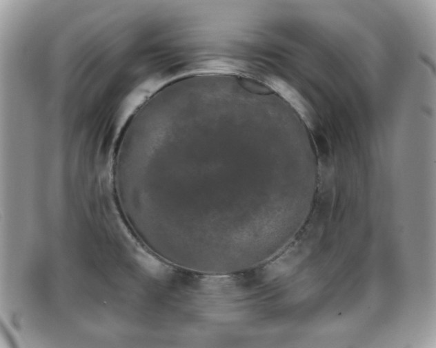 X0000099301477200805021221