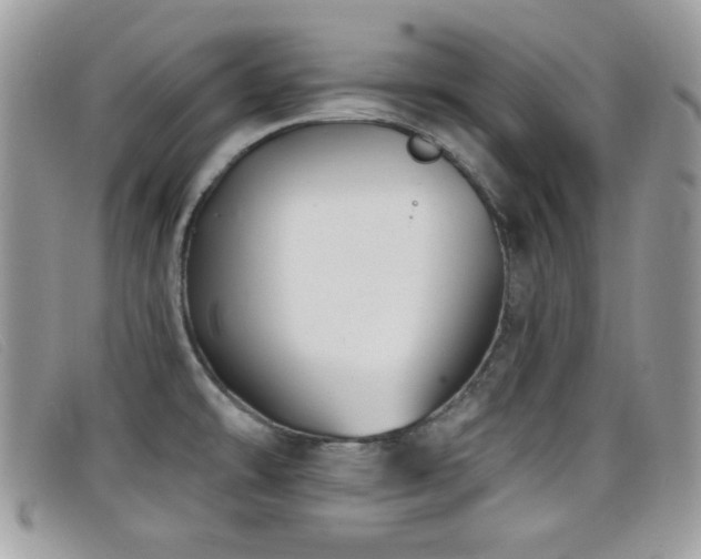 X0000099301478200805021221