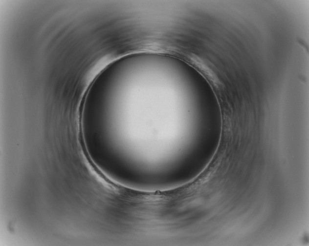 X0000099301479200805021221