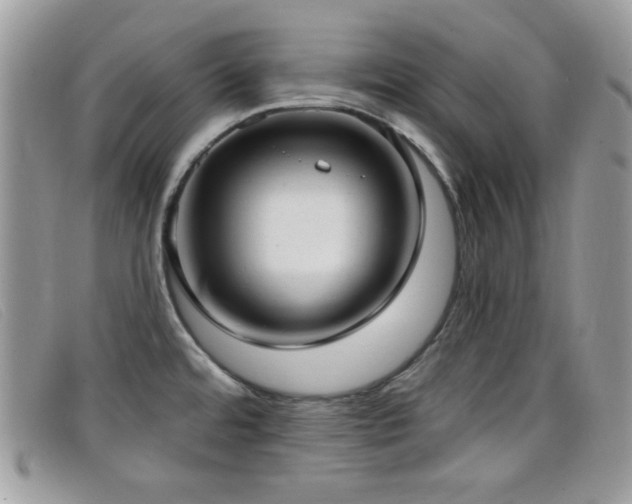 X0000099301480200805021220