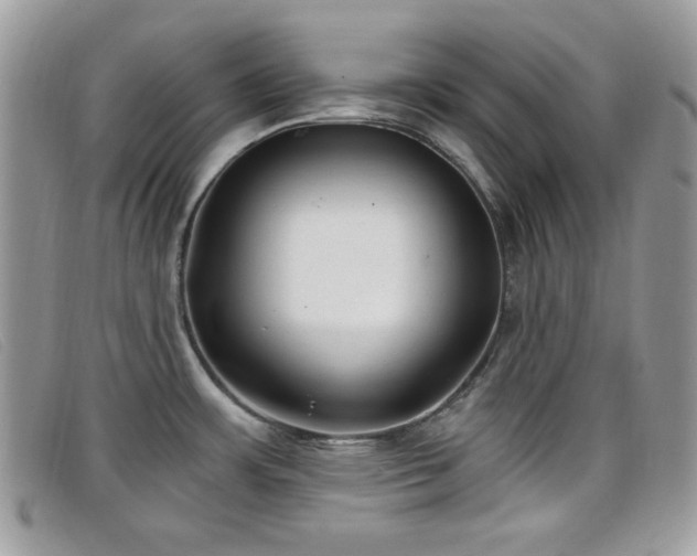 X0000099301483200805021220