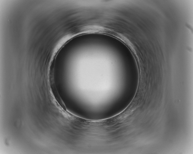 X0000099301488200805021220