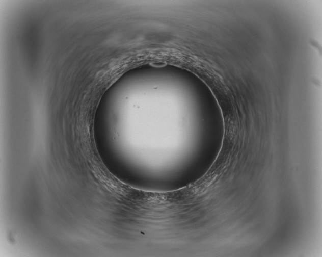 X0000099301489200805021220