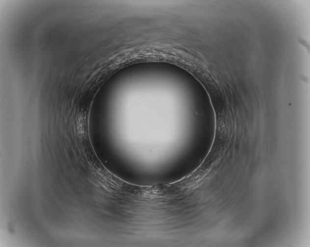 X0000099301490200805021220