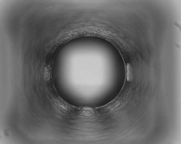 X0000099301491200805021220
