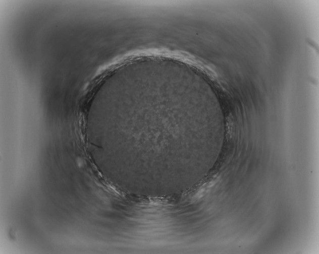 X0000099301494200805021220