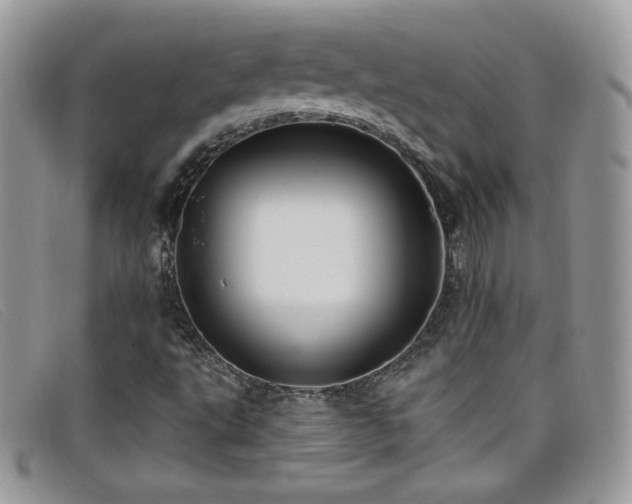 X0000099301495200805021220