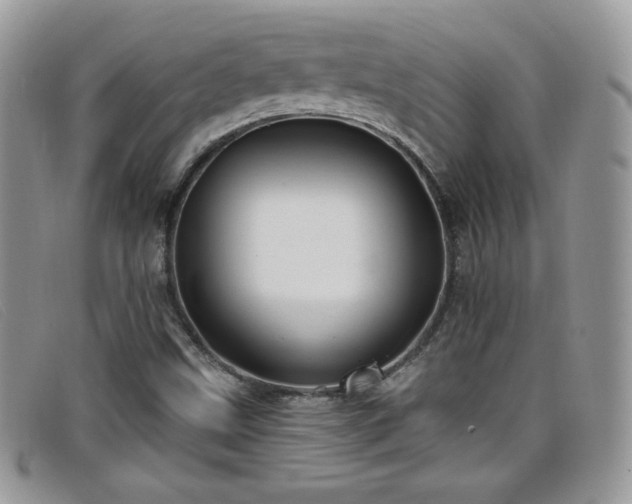 X0000099301499200805021220