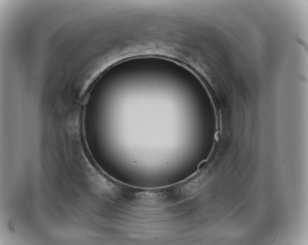 X0000099301500200805021220