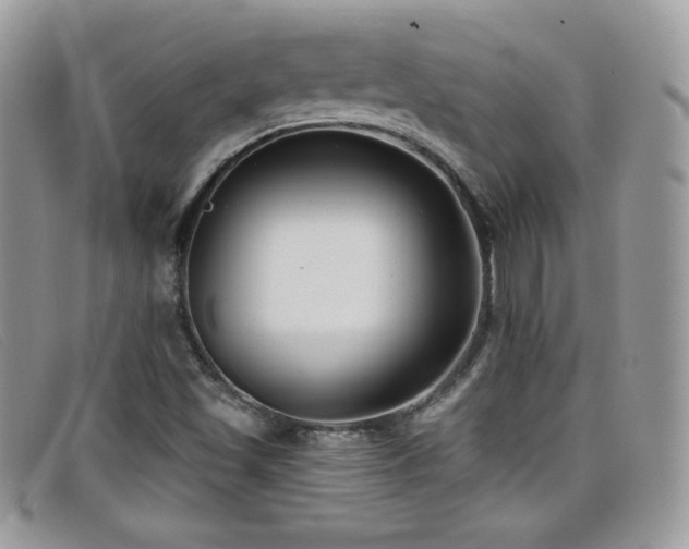 X0000099301501200805021220