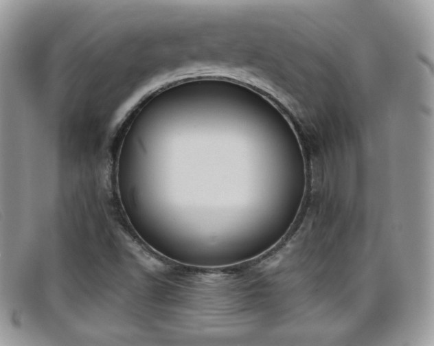 X0000099301502200805021220