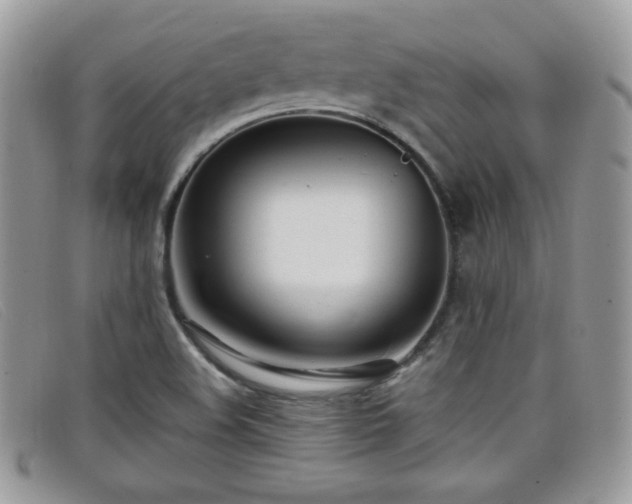 X0000099301508200805021220
