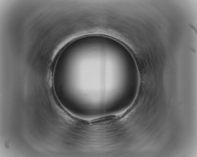 X0000099301510200805021220