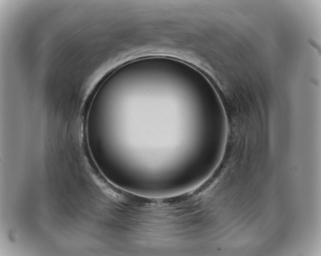 X0000099301511200805021220