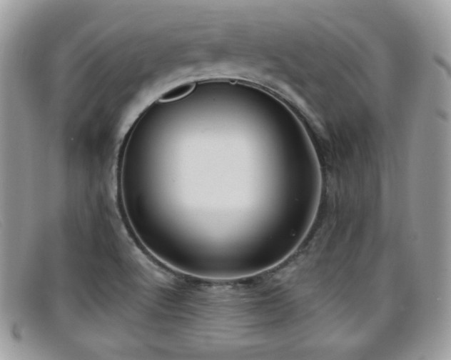 X0000099301512200805021220