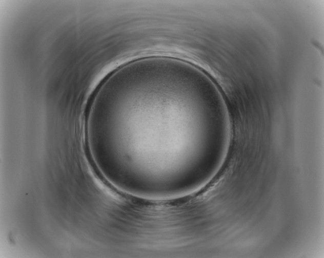 X0000099301515200805021220