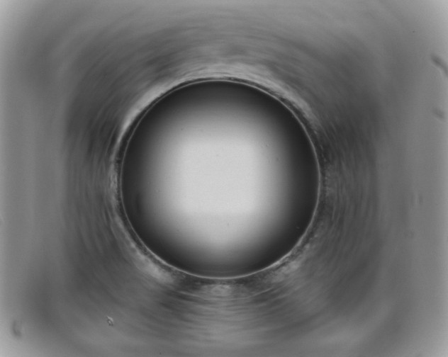 X0000099301517200805021220