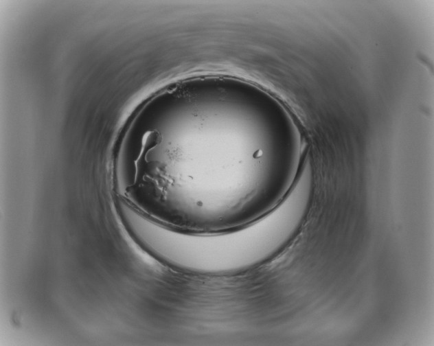 X0000099301519200805021220