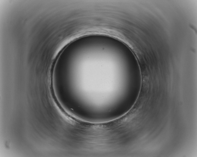 X0000099301523200805021220