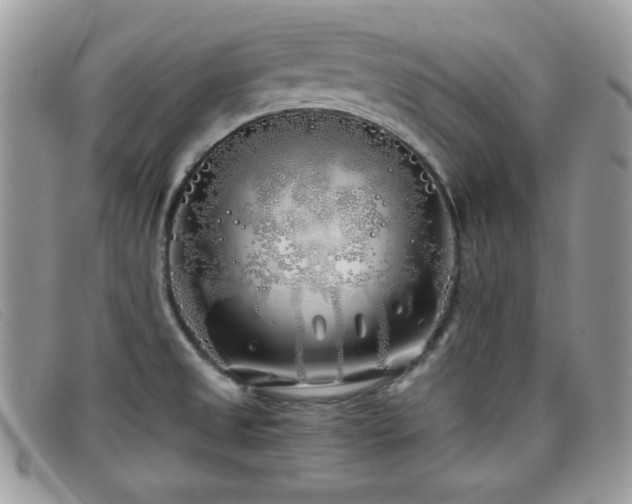 X0000099301525200805021220