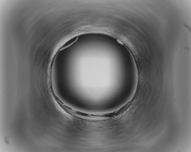 X0000099301528200805021220
