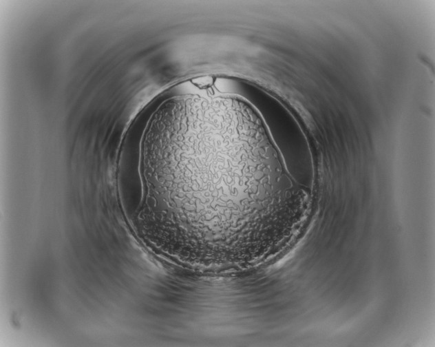 X0000099301529200805021220