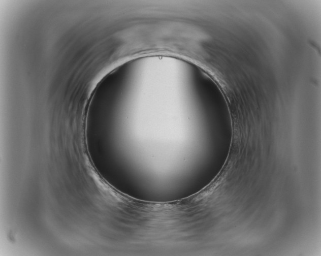 X0000099301534200805021220