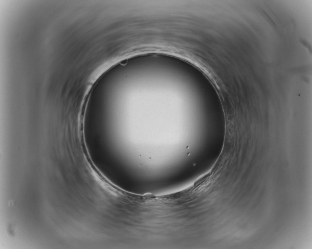 X0000099301535200805021220
