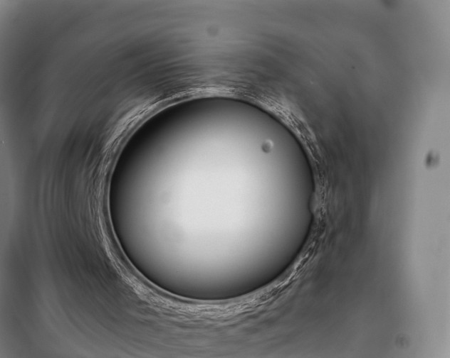 X0000099300001200805091005