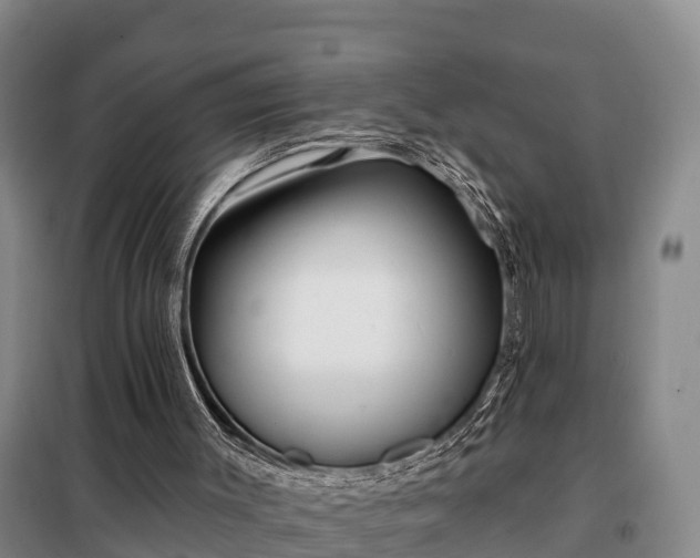 X0000099300003200805091005