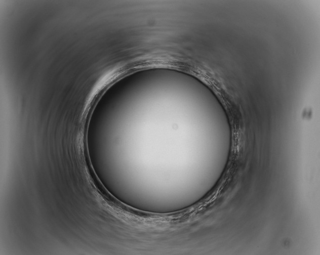 X0000099300004200805091005